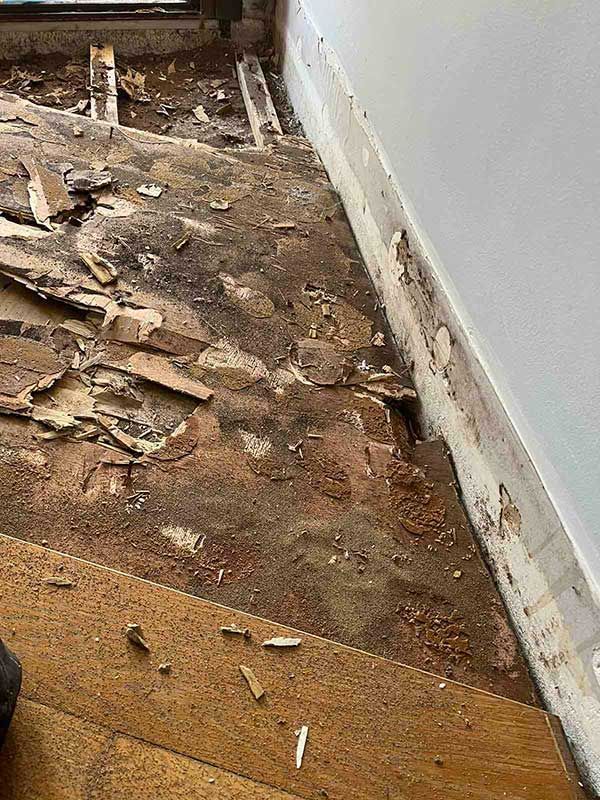 Ζημιά από τερμίτες σε πάτωμα στο Χαλάνδρι