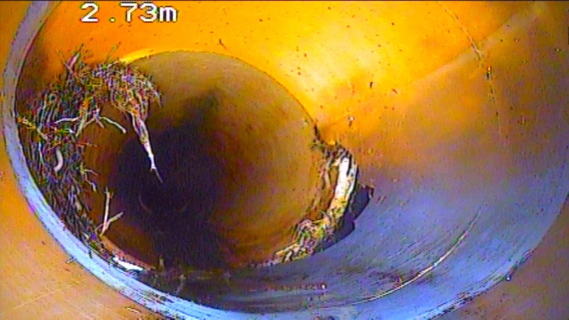 Wurzeleinwuchs mit Bruch