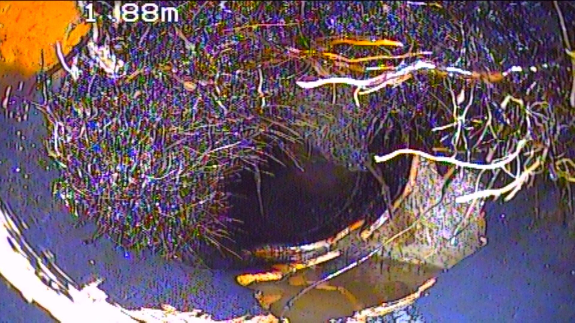 Wurzeleinwuchs, Rohrbruch