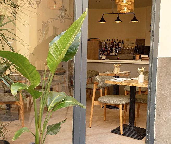 Vista de una cafetería con una planta en primer plano. Mesas y sillas dispuestas, con una barra y botellas visibles al fondo.