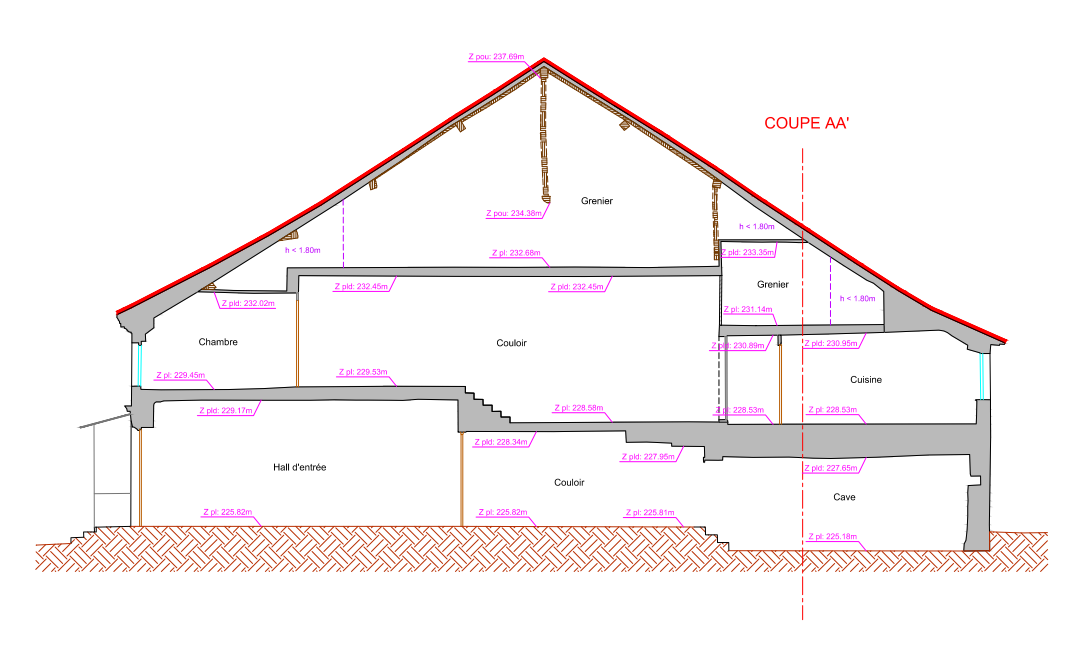 Plan en coupe de la maison montrant le toit, les pièces, l'escalier et les dimensions.
