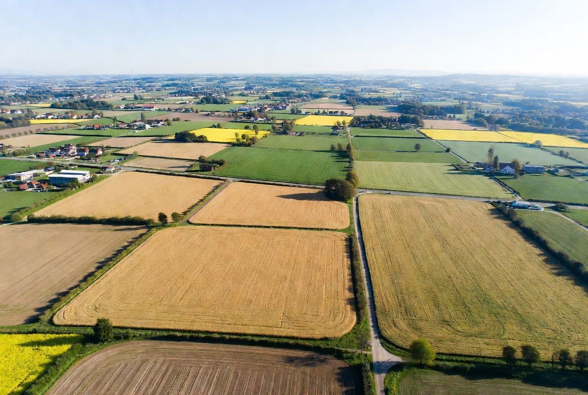 Vue aérienne d'un paysage agricole en mosaïque, avec des champs verts et dorés sous un ciel brumeux.