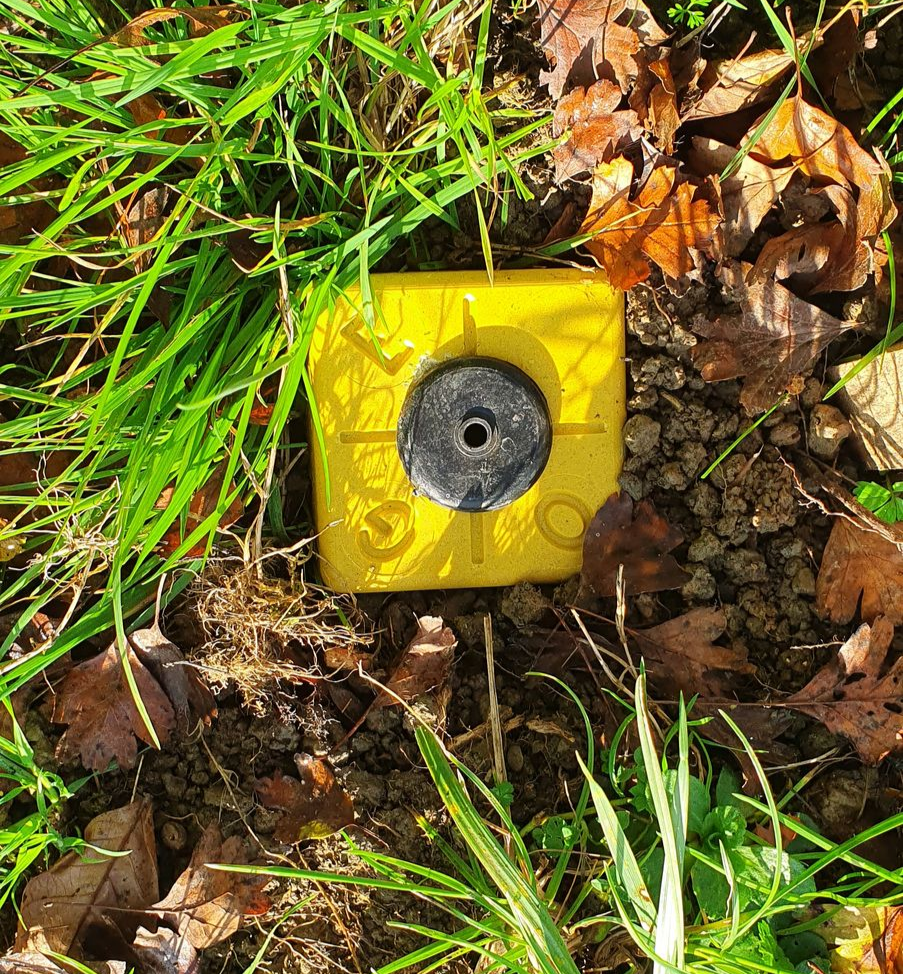 Borne jaune à centre noir dans l'herbe et les feuilles mortes.
