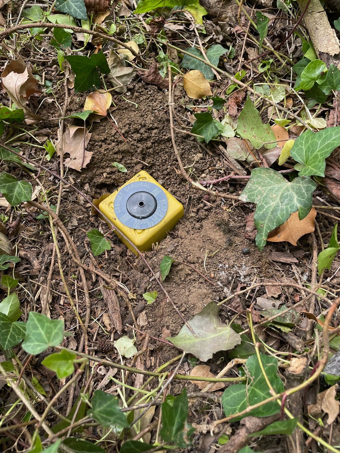 Borne jaune avec un centre circulaire gris, planté dans la terre parmi les feuilles et les vignes.