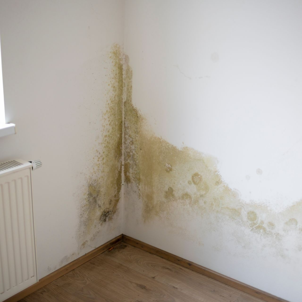 Trace d'humidité en intérieur