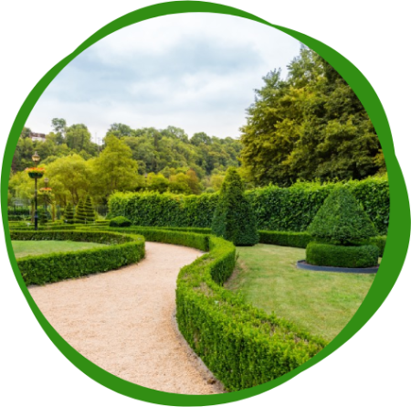 Een cirkelvormige afbeelding van een tuin met bomen en struiken