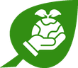 Een hand houdt een groen blad vast waar een plant uit groeit.
