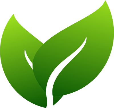 Een groen blad waar een witte lijn doorheen gaat