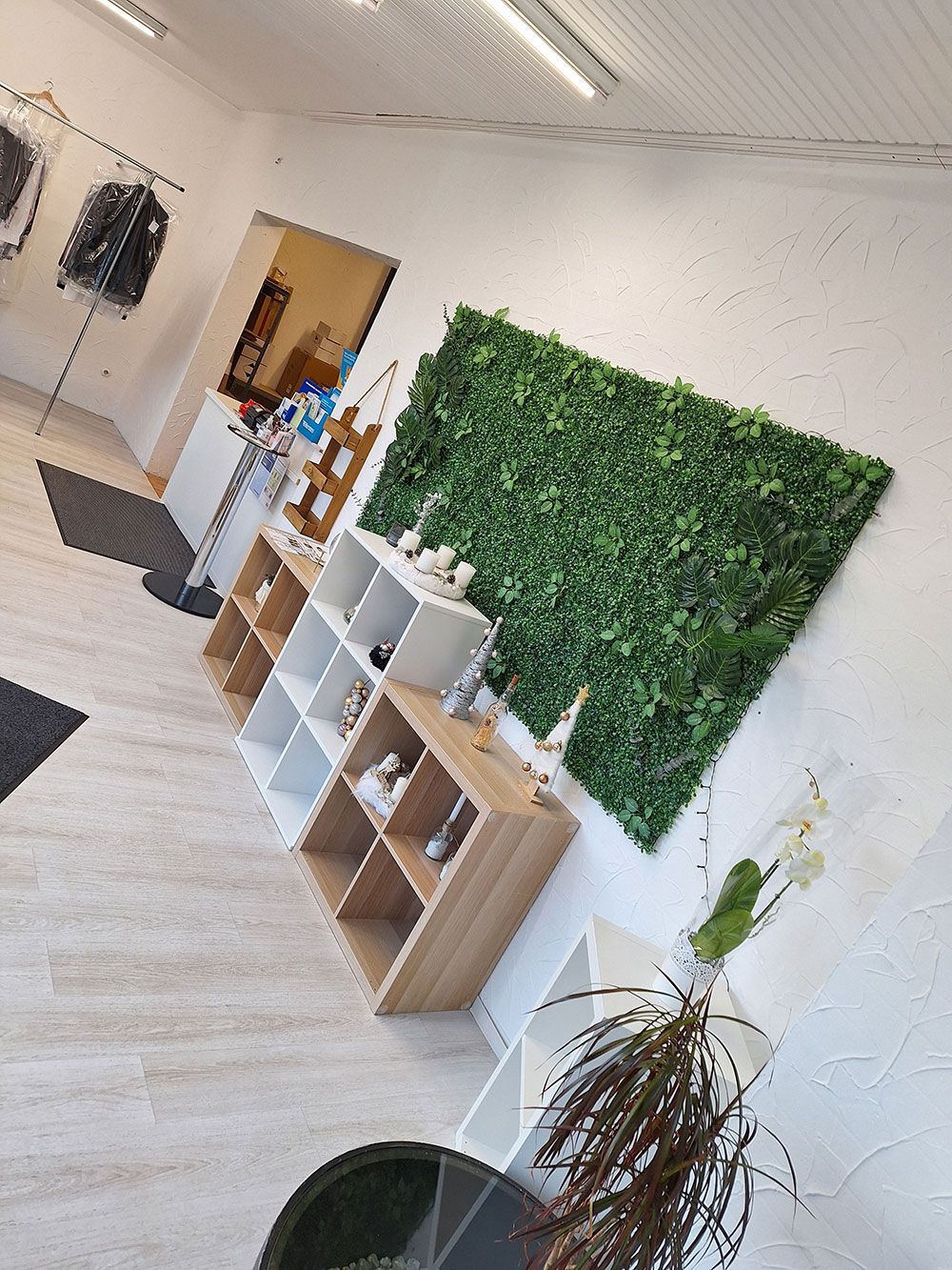 Ein Raum mit einer grünen Wand, Regalen und einer Topfpflanze.