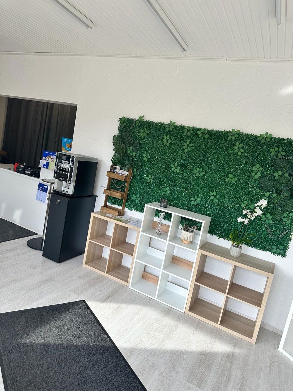 Ein Wohnzimmer mit Regalen und einer grünen Wand.