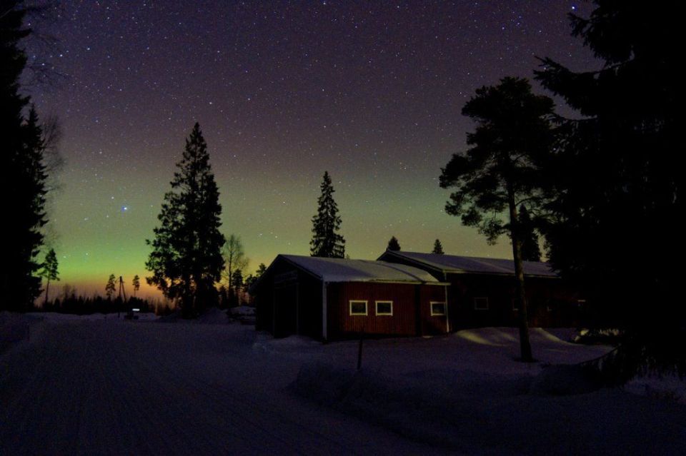 puurakennus talvimaisemassa