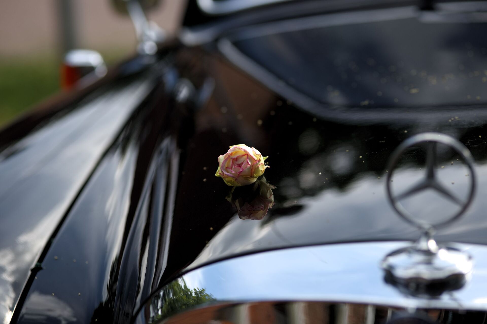 Mercedes Benz 180 Ponton Oldtimer Celle