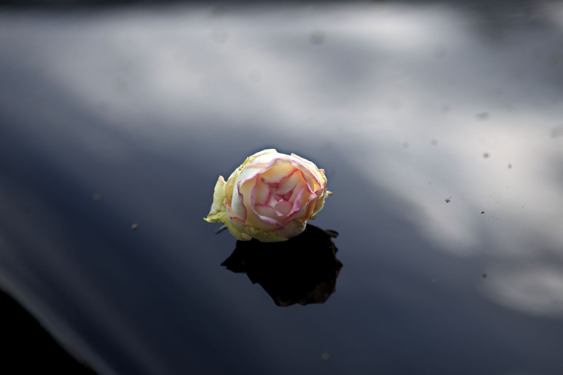 Oldtimer Hochzeit Celle