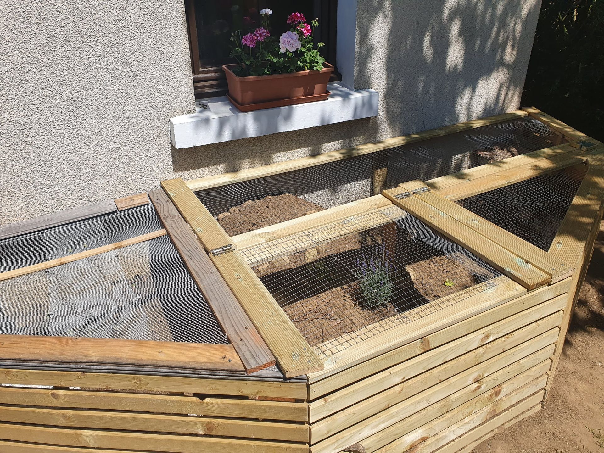 Cage à tortue devant une fenêtre