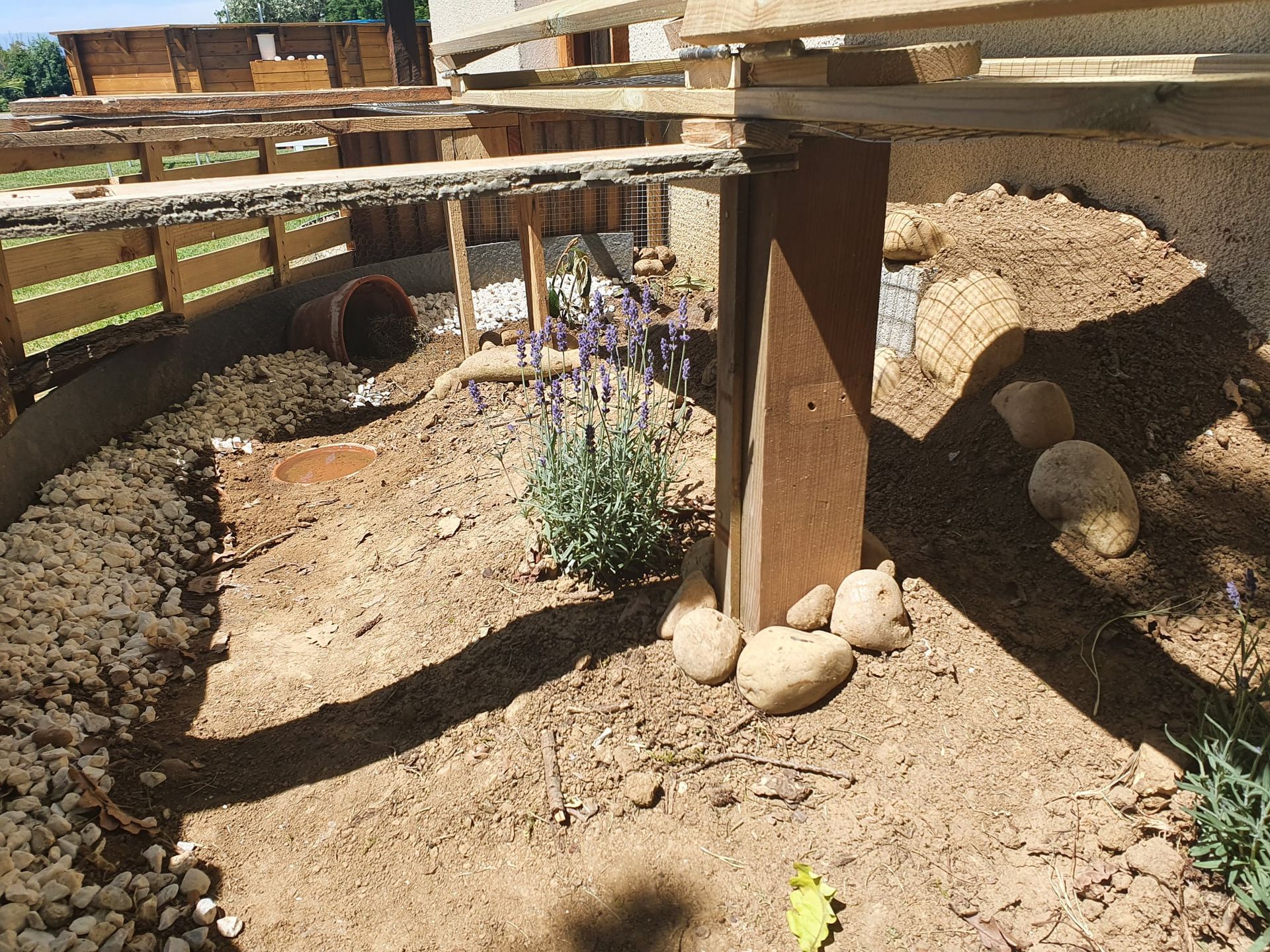 Intérieur de la cage à tortue