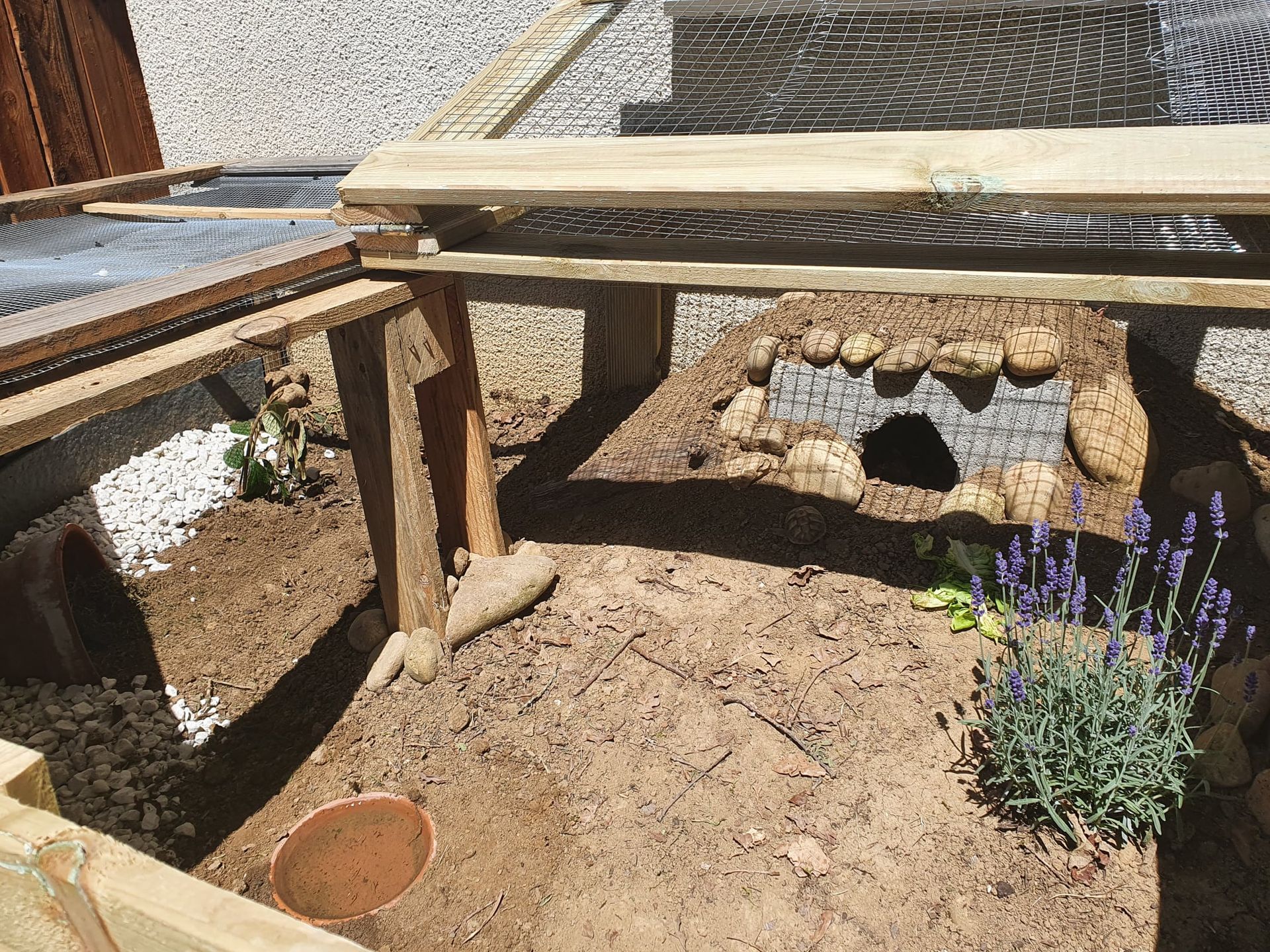 Intérieur de la cage à tortue, reliée à la maison