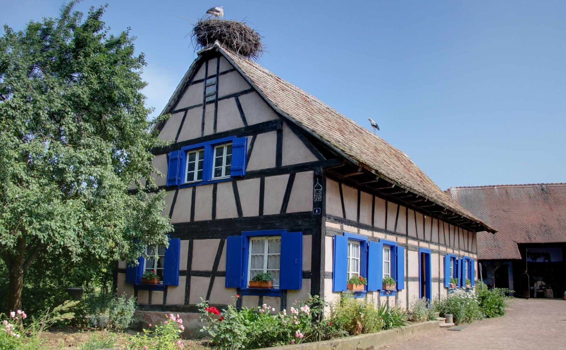 Maison typique d'Alsace