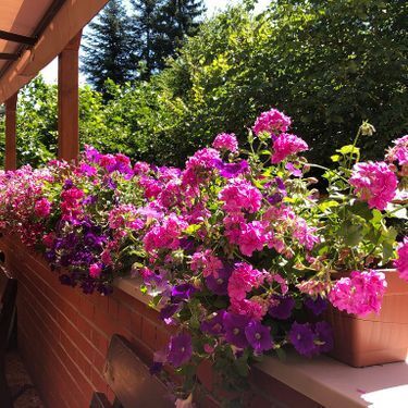 Blumen