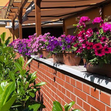 Blumen