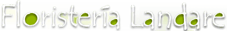 Logotipo de Florister&iacute;a Landare con detalles de hojas verdes sobre un fondo claro.