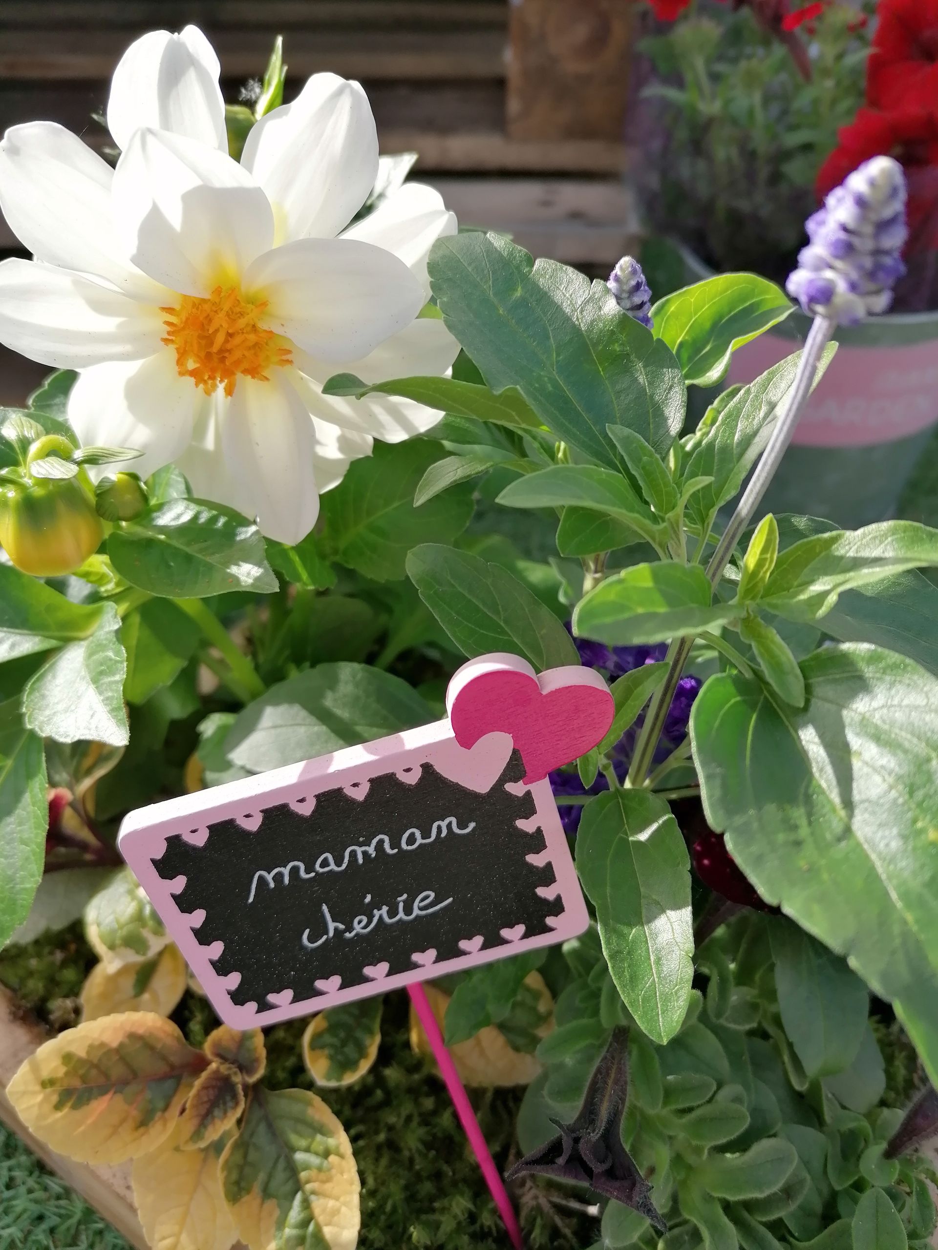 Fleurs blanches avec une ardoise où il est écrit 