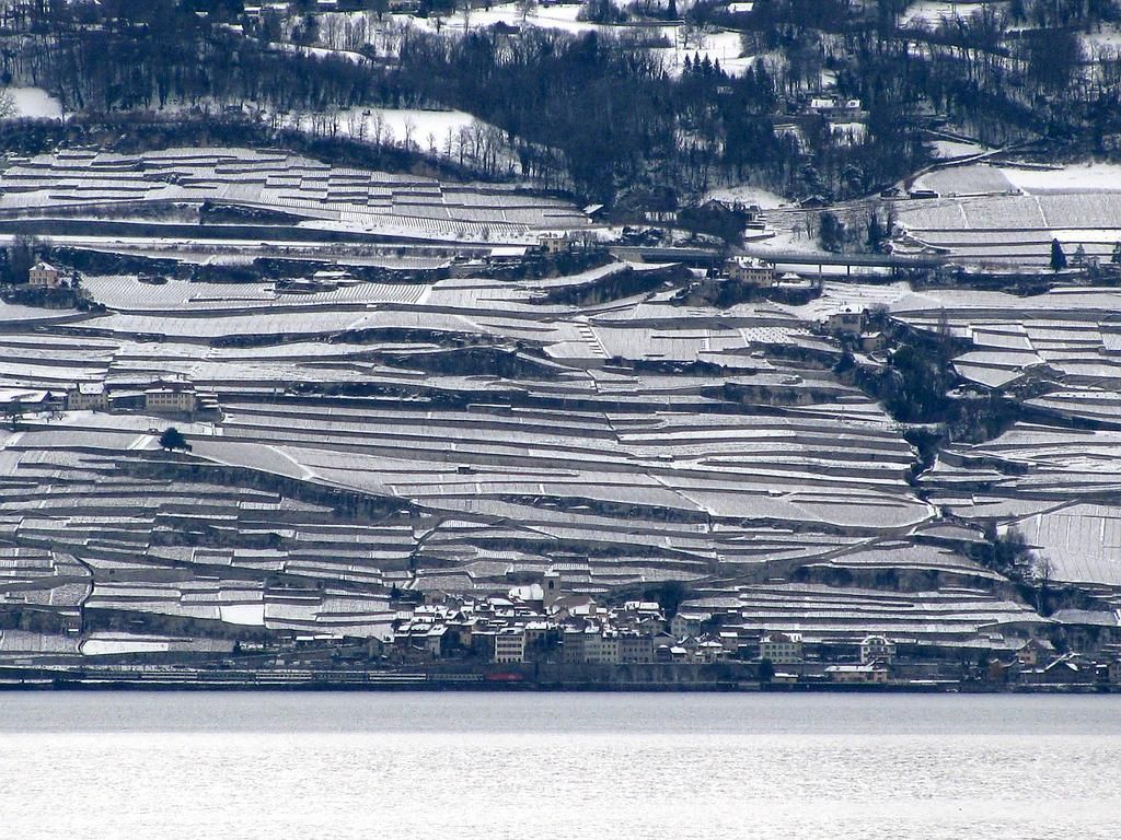Saint-Saphorin vue du lac