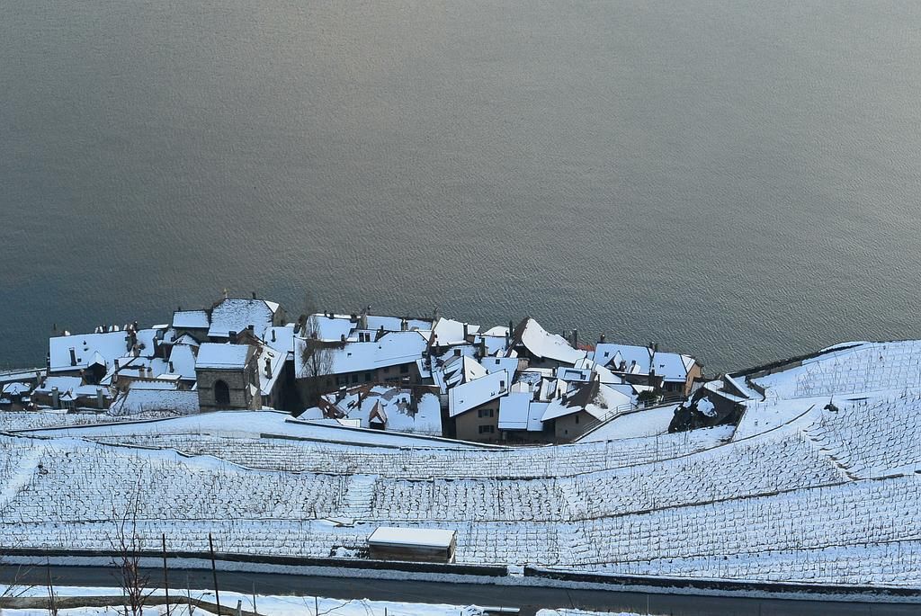 Saint-Saphorin sous la neige