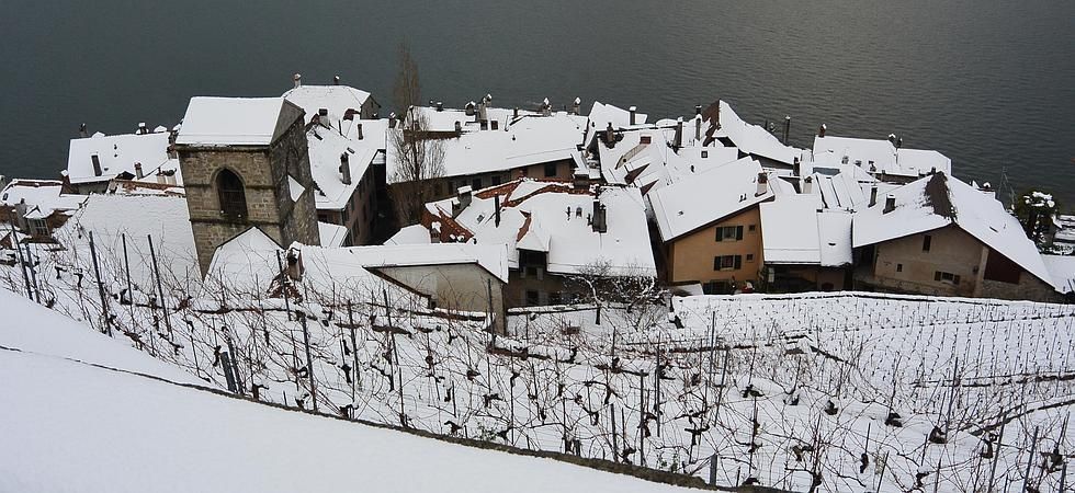 Saint-Saphorin en hiver