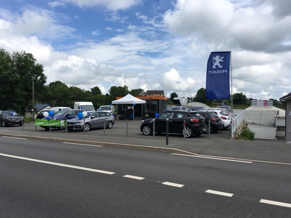 Parc Peugeot occasion