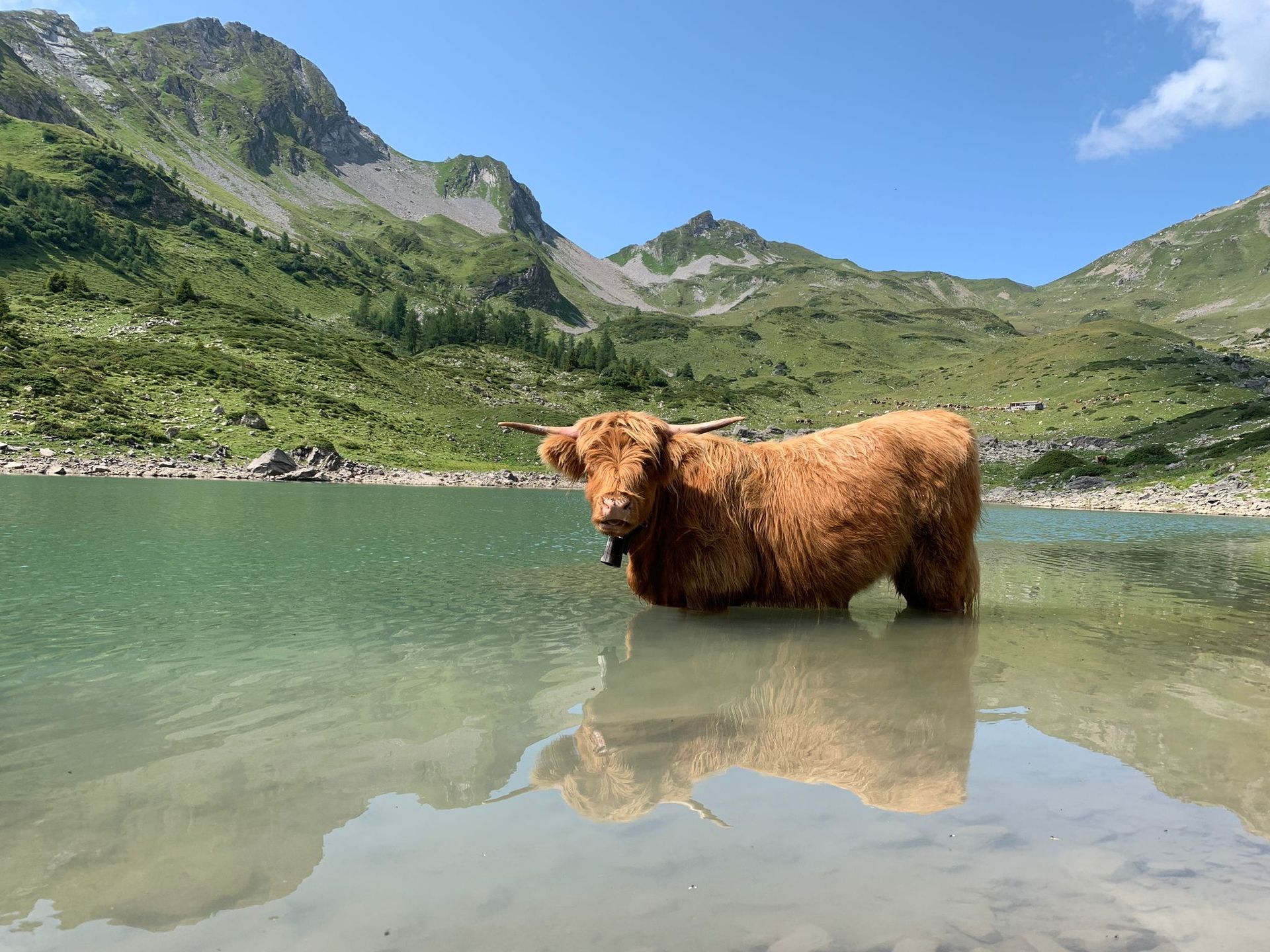 tierarztpraxis calanda ag | Chur