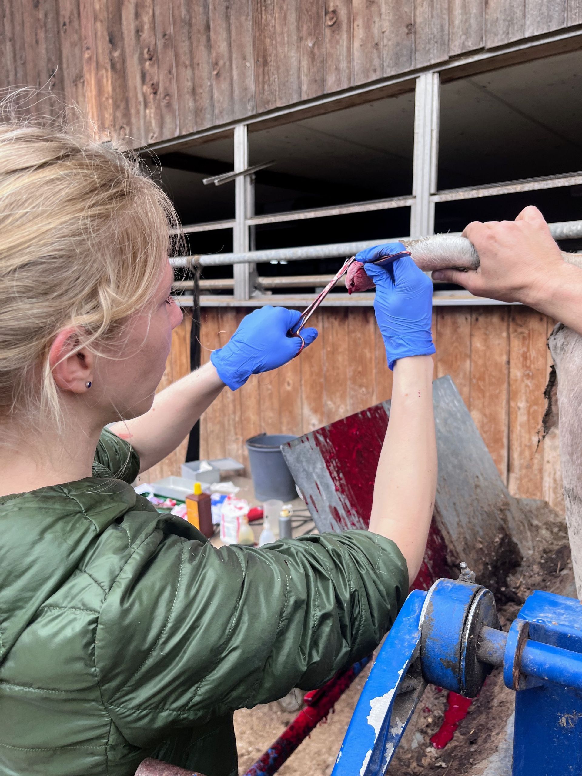 tierarztpraxis calanda ag | Chur