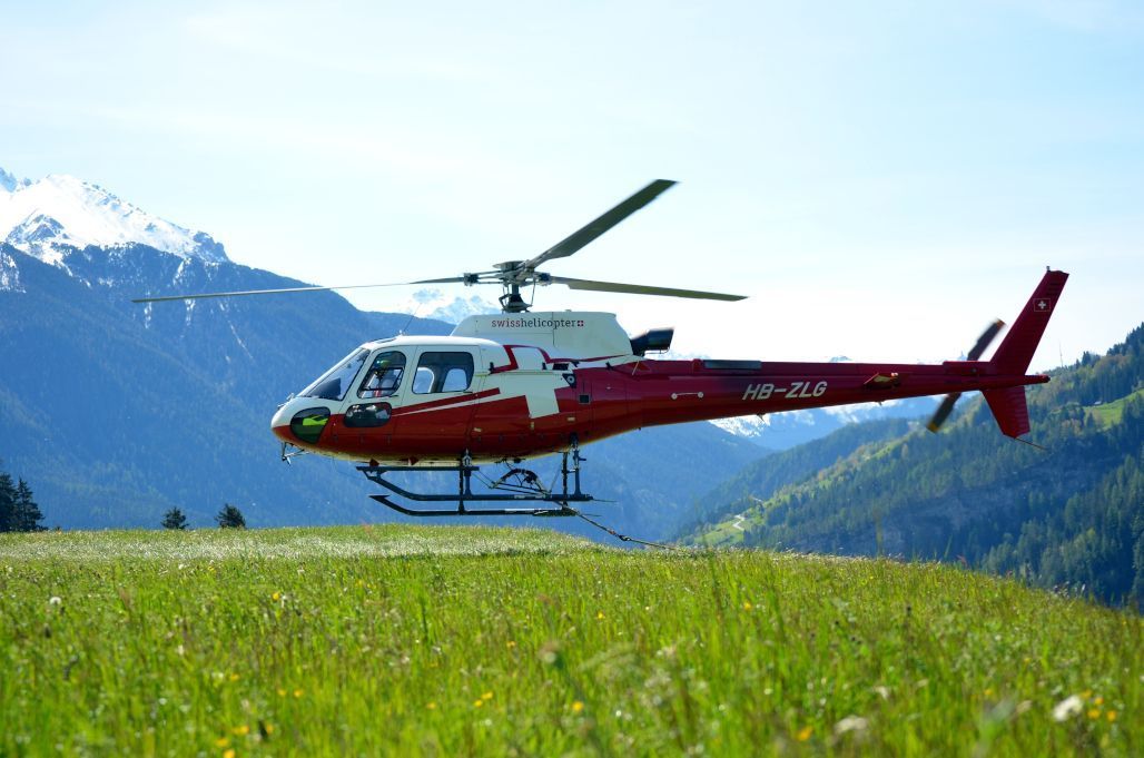 tierarztpraxis calanda ag | Chur