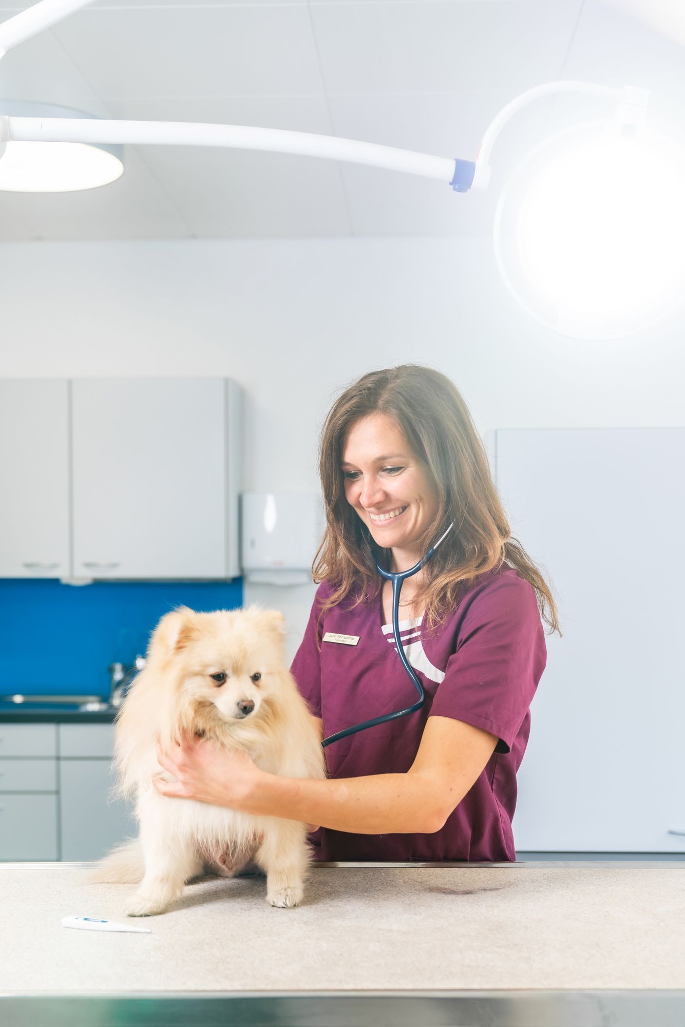 tierarztpraxis calanda ag | Chur