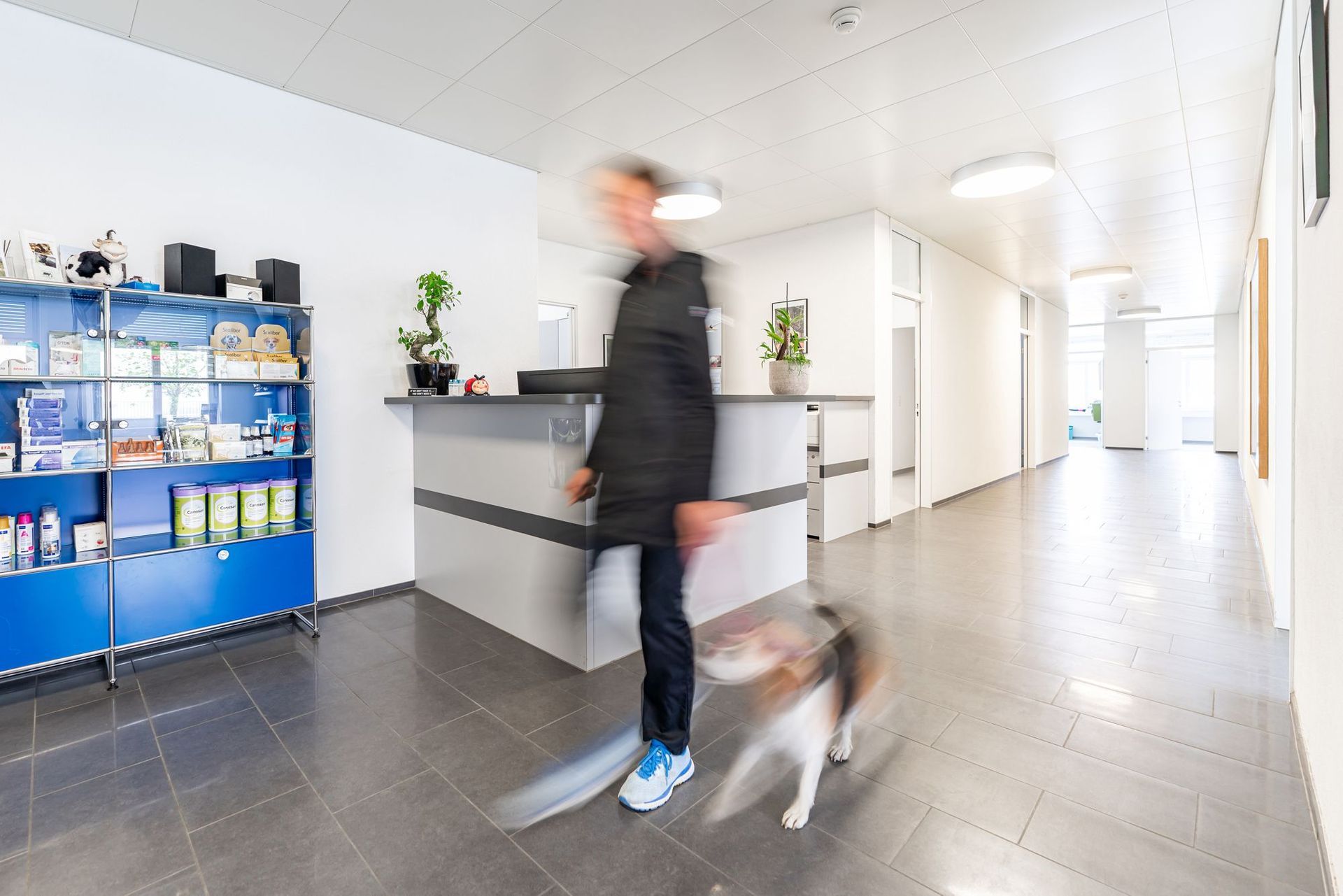 tierarztpraxis calanda ag | Chur