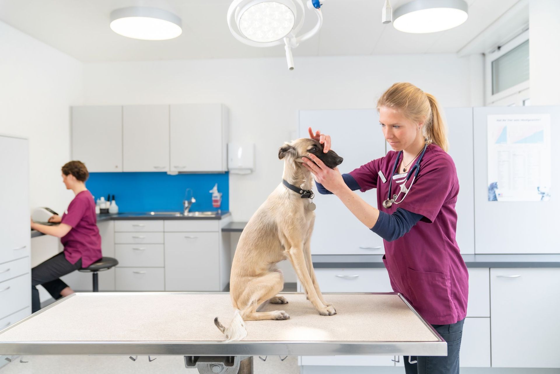 tierarztpraxis calanda ag | Chur