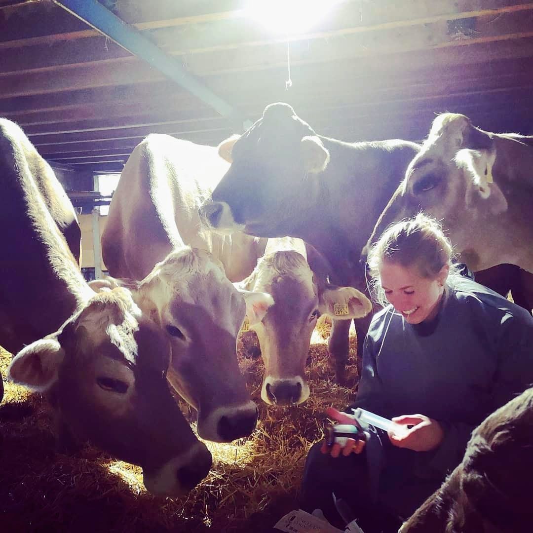 tierarztpraxis calanda ag | Chur