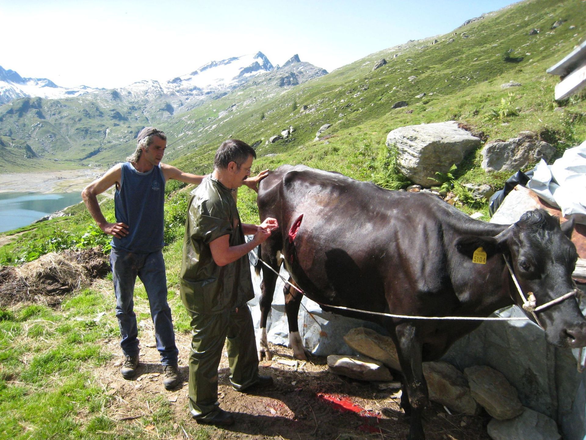 tierarztpraxis calanda ag | Chur