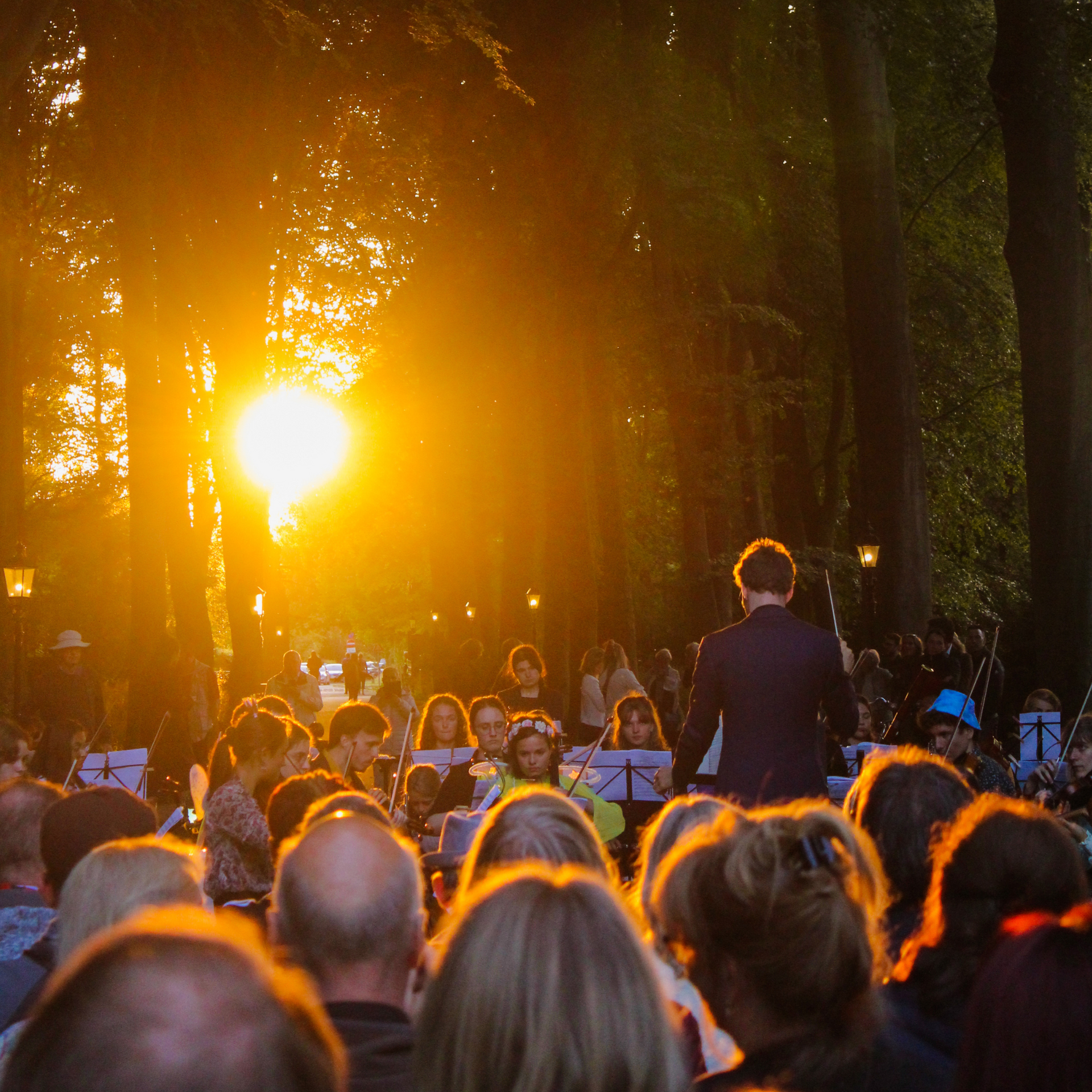 Practicum Musicae Orkest bij a Midsummer Night