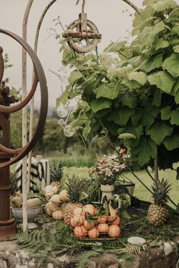 Una mesa con calabazas, piñas y flores en un jardín.