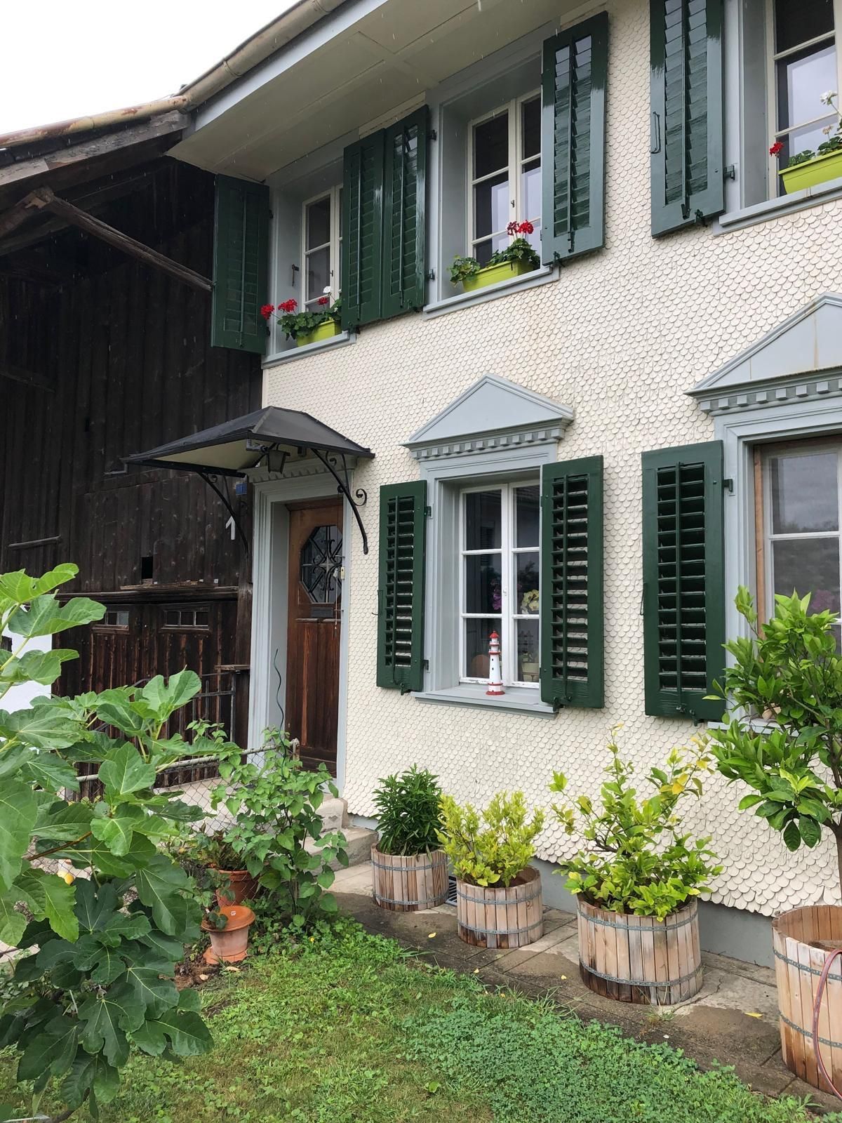 Ein weißes Haus mit grünen Fensterläden und Topfpflanzen davor.