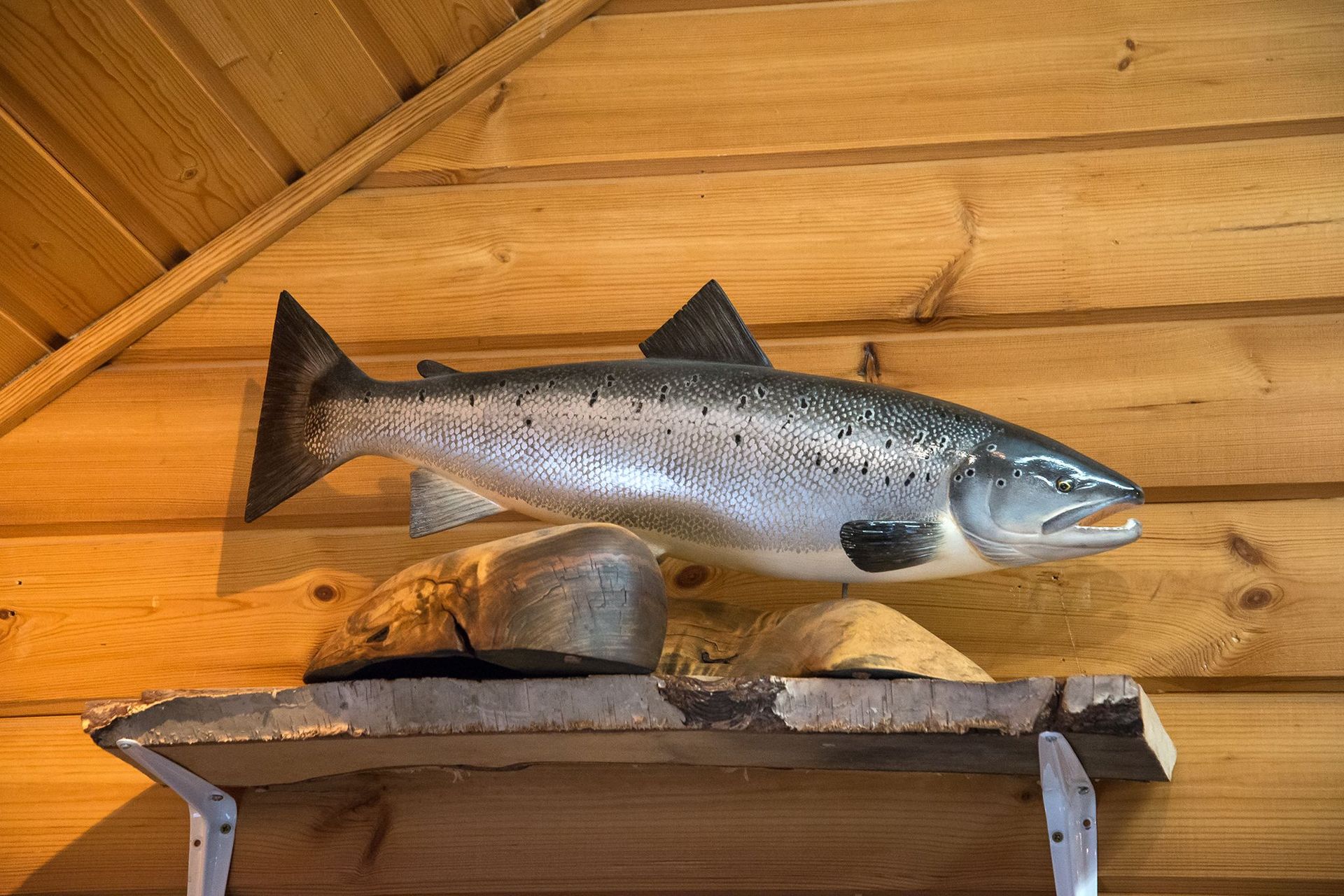 Fishing Center Kotka