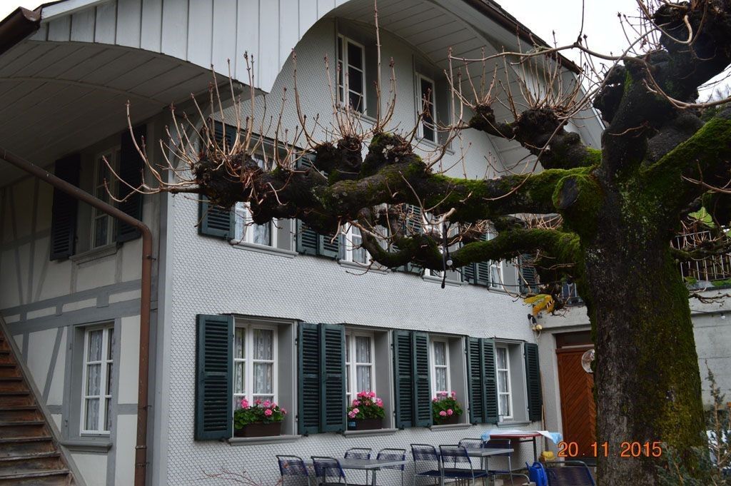 Bauernhaus | Restaurant zum Kreuz in Vechigen | Schweizer Küche