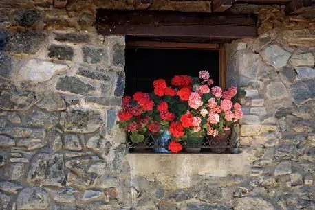 Una ventana con flores en una pared de piedra.