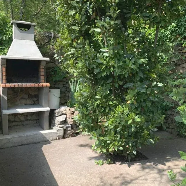 Parrilla de hormigón al aire libre junto a un frondoso árbol verde en un entorno de patio trasero.
