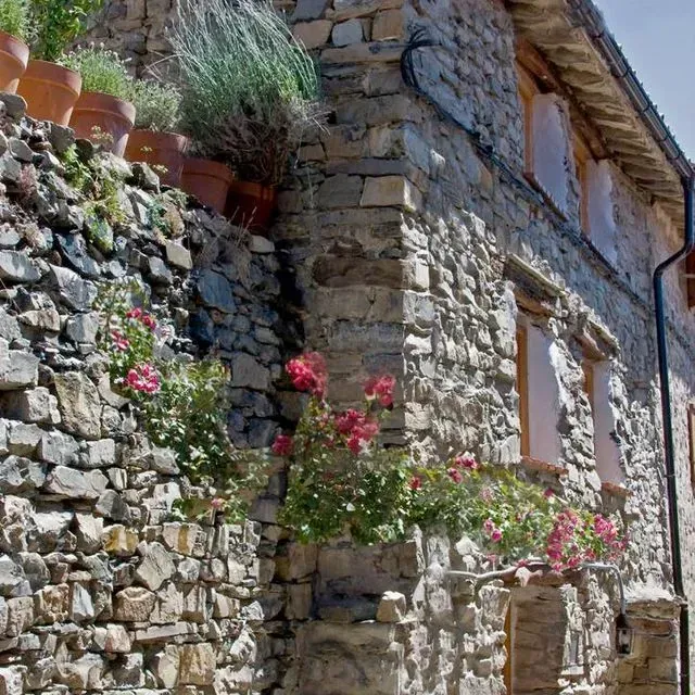 Edificio de piedra con plantas en macetas y flores rosas en el exterior, posiblemente en un pueblo.