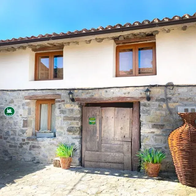 Casa de piedra con puerta de madera, ventanas y macetas decorativas.