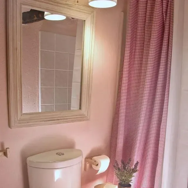 Baño rosa con inodoro, espejo, cortina de rayas rojas y lavanda.