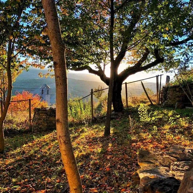 Paisaje otoñal iluminado por el sol con árboles, muros de piedra y un edificio distante.