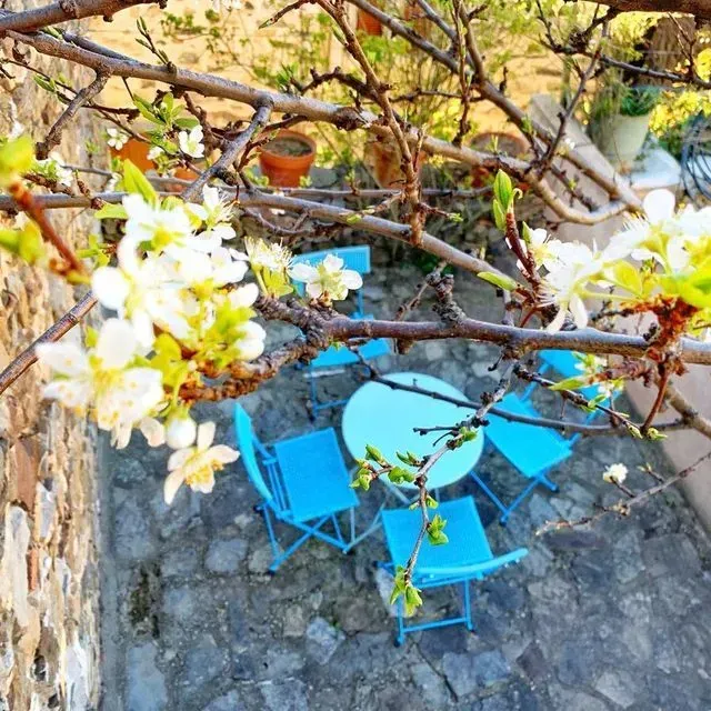 Mobiliario de patio azul debajo de ramas de árboles en flor en un espacio exterior con paredes de piedra.