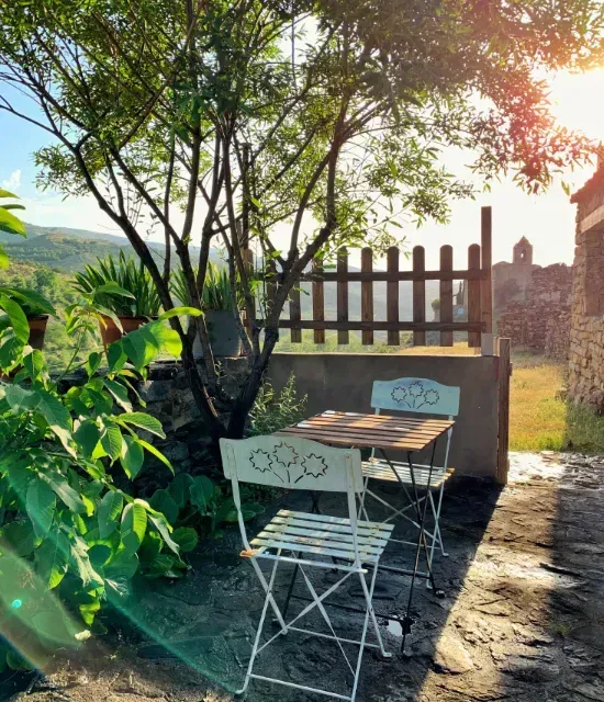 Un pequeño patio al aire libre con mesa y sillas bajo un árbol. El sol brillaba entre los árboles.